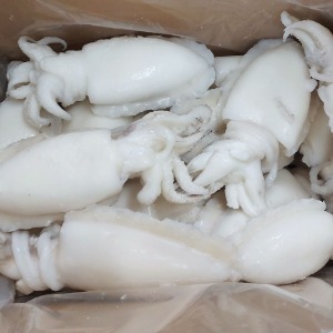 [베트남] 손질갑오징어 150/200  5kg