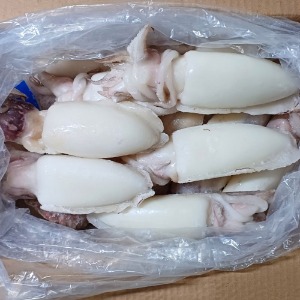 [인도네시아] 손질갑오징어 500up